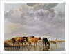Cows in a River, c.1650 by Aelbert Cuyp