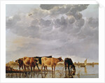 Cows in a River, c.1650 by Aelbert Cuyp