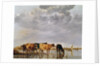 Cows in a River, c.1650 by Aelbert Cuyp