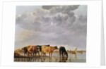 Cows in a River, c.1650 by Aelbert Cuyp