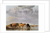 Cows in a River, c.1650 by Aelbert Cuyp