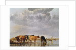 Cows in a River, c.1650 by Aelbert Cuyp