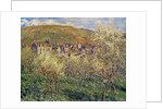 Plum Trees in Blossom, 1879 by Claude Monet