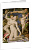 An Allegory with Venus and Cupid, c.1540-45 by Agnolo di Cosimo Bronzino