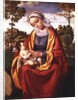 The Virgin and Child by Andrea Previtali
