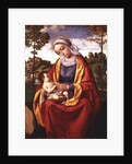 The Virgin and Child by Andrea Previtali