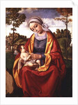 The Virgin and Child by Andrea Previtali