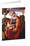 The Virgin and Child by Andrea Previtali
