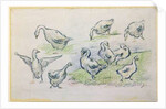 Ducks by Alfred Sisley
