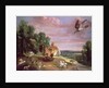 The Hawk and the Hen by Frans Snyders or Snijders
