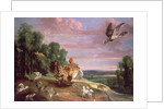The Hawk and the Hen by Frans Snyders or Snijders