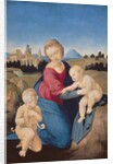 The Esterhazy Madonna, c.1507-08 by Raphael