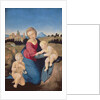 The Esterhazy Madonna, c.1507-08 by Raphael