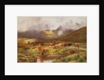 A Highland Drove at Strathfillan, Perthshire by Louis Bosworth Hurt