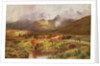 A Highland Drove at Strathfillan, Perthshire by Louis Bosworth Hurt
