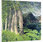 Spring in Worpswede by Hans am Ende