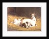 A Terrier with Three Puppies by Gabrielle Rainer-Istuanty