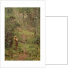 What the Little Girl Saw in the Bush, 1904 by Frederick McCubbin