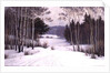 Woodland Trail in Winter by Boris Walentinowitsch Scherkow