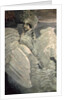 The Swan Princess, 1900 by Mikhail Aleksandrovich Vrubel