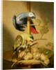 An African Grey and an Orange Winged Amazon Parrot on a Perch with Grapes by Jacob Fransz van der Merck