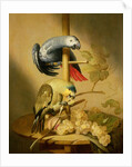 An African Grey and an Orange Winged Amazon Parrot on a Perch with Grapes by Jacob Fransz van der Merck