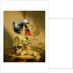 An African Grey and an Orange Winged Amazon Parrot on a Perch with Grapes by Jacob Fransz van der Merck