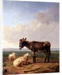 Ass and Sheep, 1849 by Eugene Joseph Verboeckhoven