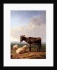 Ass and Sheep, 1849 by Eugene Joseph Verboeckhoven
