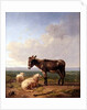 Ass and Sheep, 1849 by Eugene Joseph Verboeckhoven