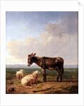 Ass and Sheep, 1849 by Eugene Joseph Verboeckhoven