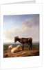 Ass and Sheep, 1849 by Eugene Joseph Verboeckhoven