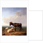 Ass and Sheep, 1849 by Eugene Joseph Verboeckhoven
