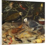 Still Life of Birds and Insects, 1637 by Georg Flegel