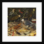 Still Life of Birds and Insects, 1637 by Georg Flegel