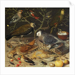 Still Life of Birds and Insects, 1637 by Georg Flegel