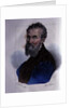 Portrait of Michelangelo Buonarroti by Dolfino