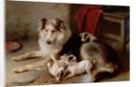 A Collie with Fox Terrier Puppies, 1913 by Walter Hunt