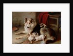 A Collie with Fox Terrier Puppies, 1913 by Walter Hunt
