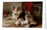 A Collie with Fox Terrier Puppies, 1913 by Walter Hunt