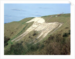 The Westbury White Horse by Anonymous