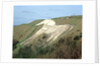 The Westbury White Horse by Anonymous