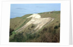 The Westbury White Horse by Anonymous