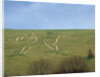 The Cerne Abbas Giant by Anonymous