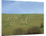 The Cerne Abbas Giant by Anonymous