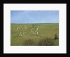 The Cerne Abbas Giant by Anonymous