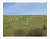 The Cerne Abbas Giant by Anonymous