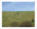 The Cerne Abbas Giant by Anonymous
