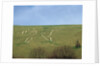 The Cerne Abbas Giant by Anonymous