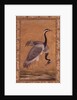 Cranes by Mansur, Jahangir Period, Mughal, 1775 by Indian School